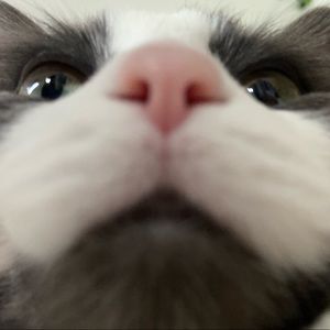 Meet your Posher, Sophia